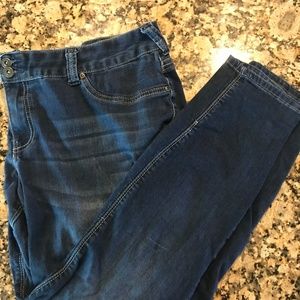 Ariya Skinny Jeans Plus Size in Women Sz 18